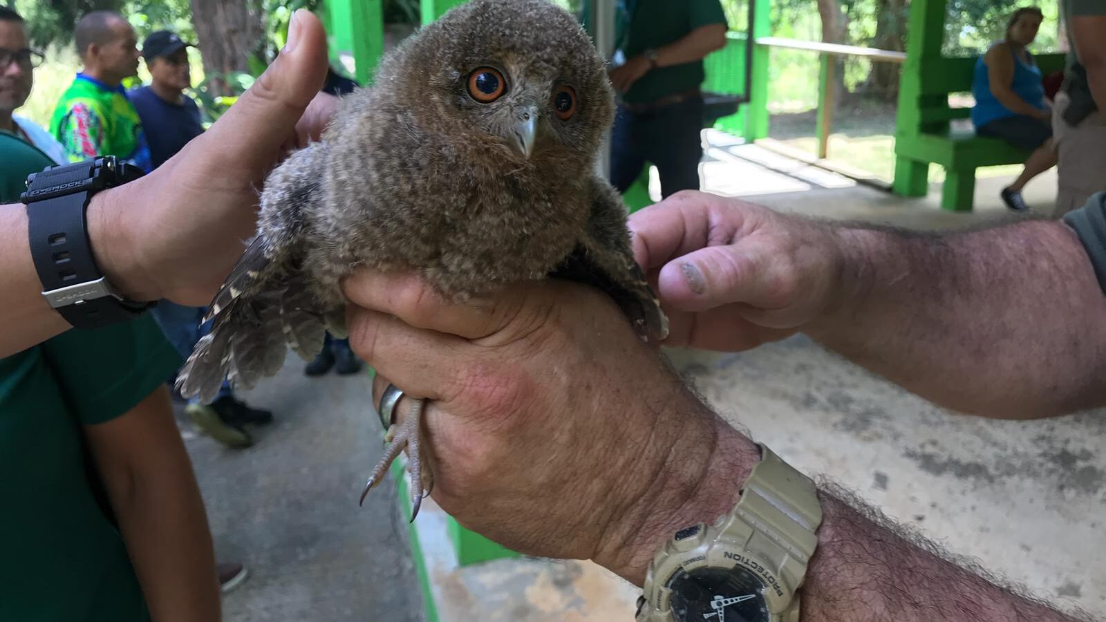 Piden a Justicia investigue situación con el Centro de Detención de Especies del DRNA en Arecibo