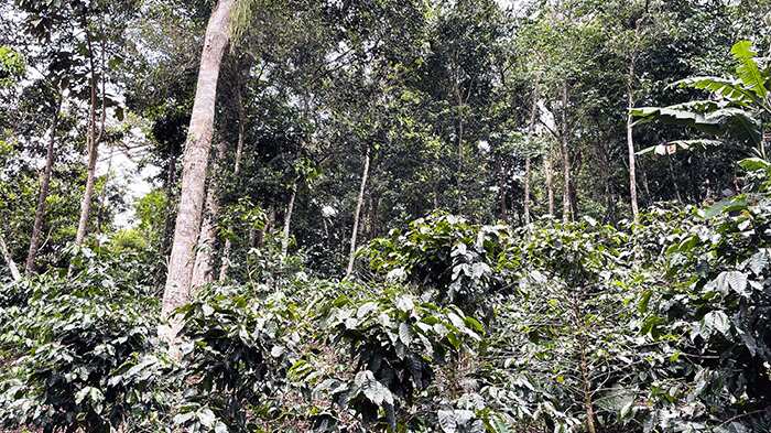 Dos proyectos en Puerto Rico fueron escogidos para una inversión de aprox $175K