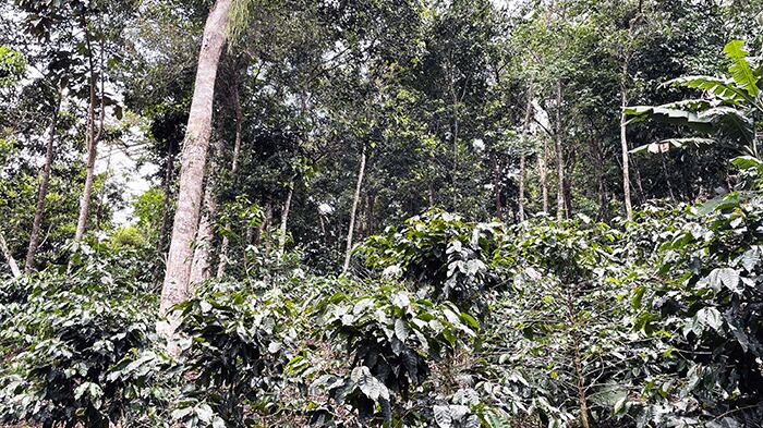 Dos proyectos en Puerto Rico fueron escogidos para una inversión de aprox $175K