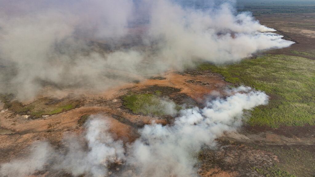 Las llamas consumen un área cerca de Transpantaneira, una carretera que cruza los humedales de Pantanal, en el estado de Mato Grosso, Brasil, el sábado 18 de noviembre de 2023. (AP Foto/Andre Penner)