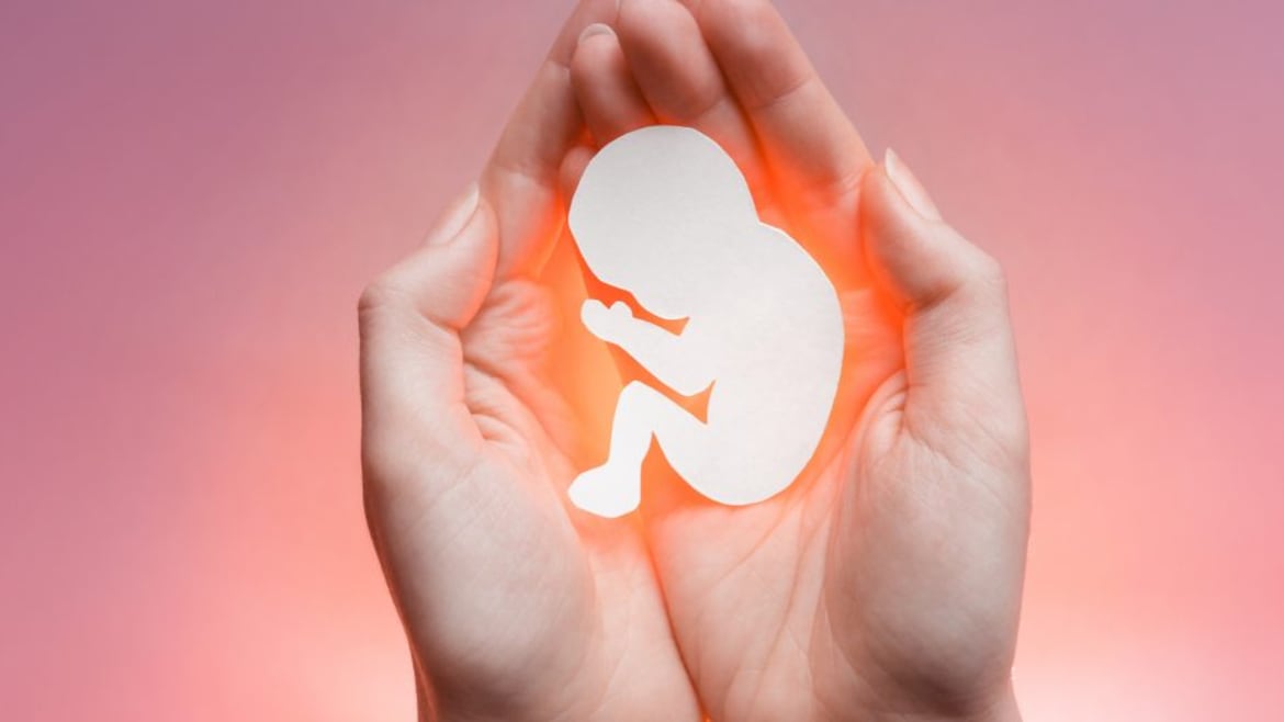 Los Proyectos de ley contra el aborto fracasan en Nebraska y Carolina del Sur. | Foto: Referencial