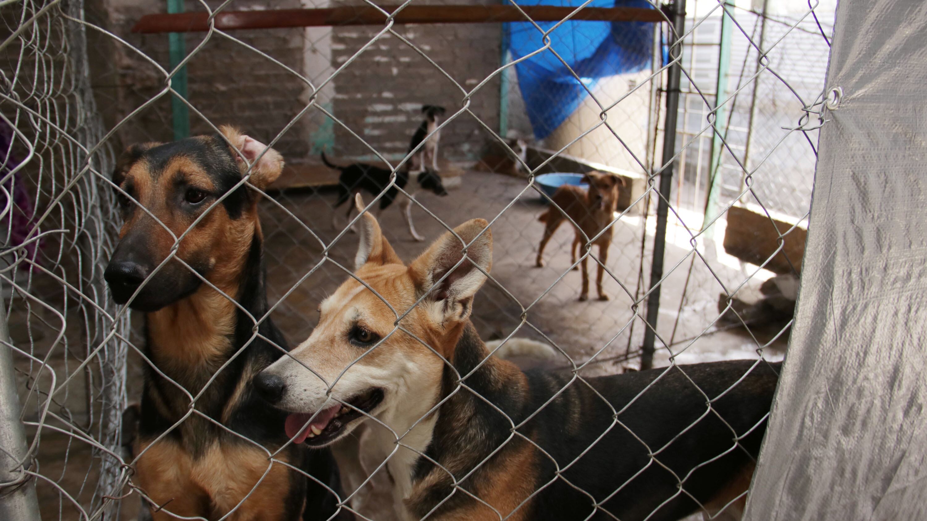 FOTO: Idalia Medina/Agencia Enfoque