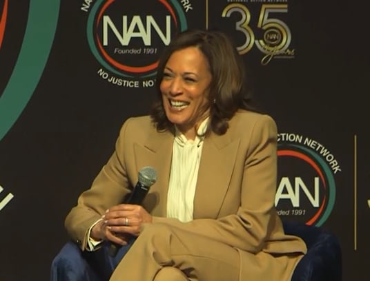 Kamala Harris dice que podría volver a buscar la presidencia de EE.UU.