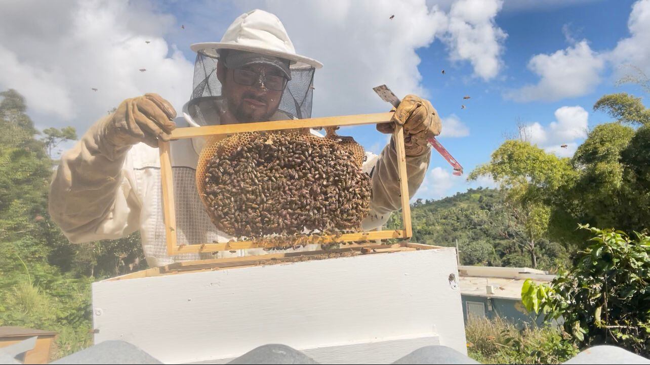 UPR de Utuado es reconocida en Estados Unidos