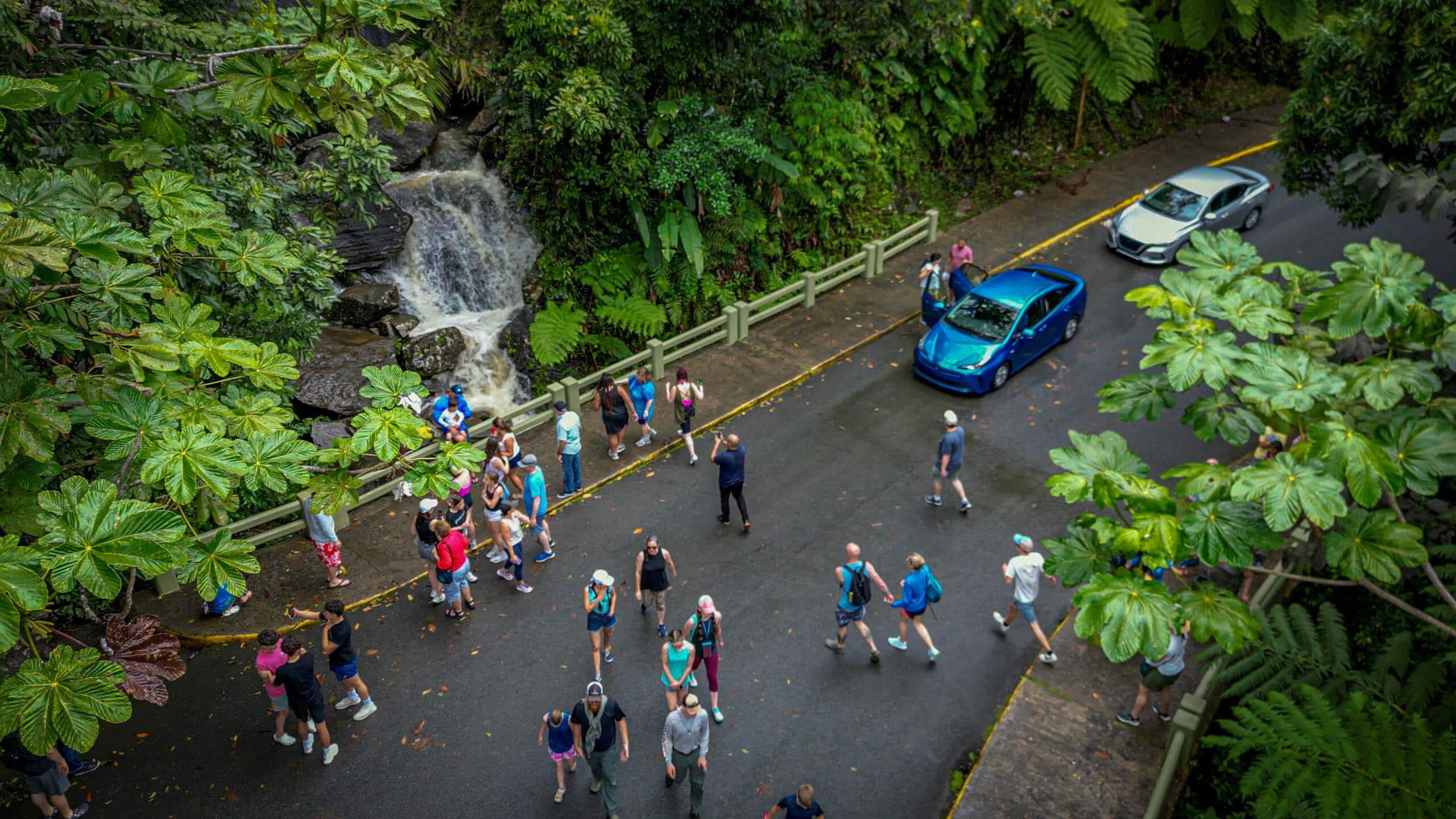 Bosque Nacional El Yunque.