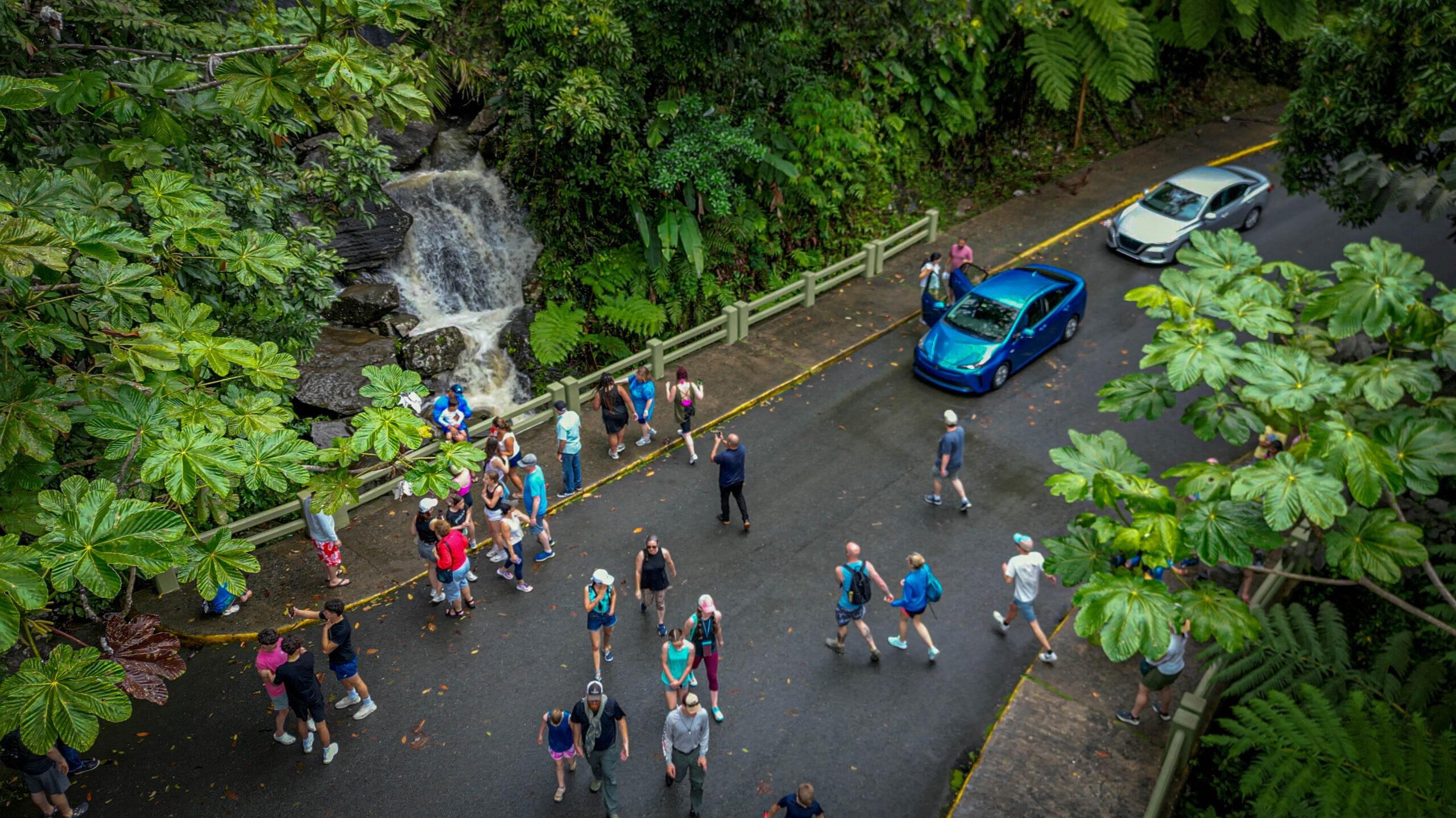 Bosque Nacional El Yunque.