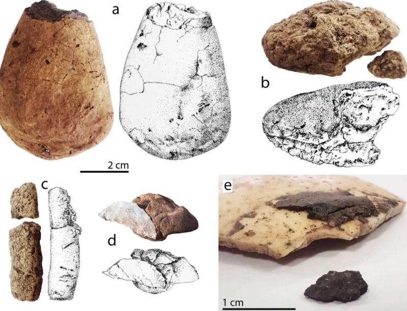 Muy Interesante / Schmidt et al