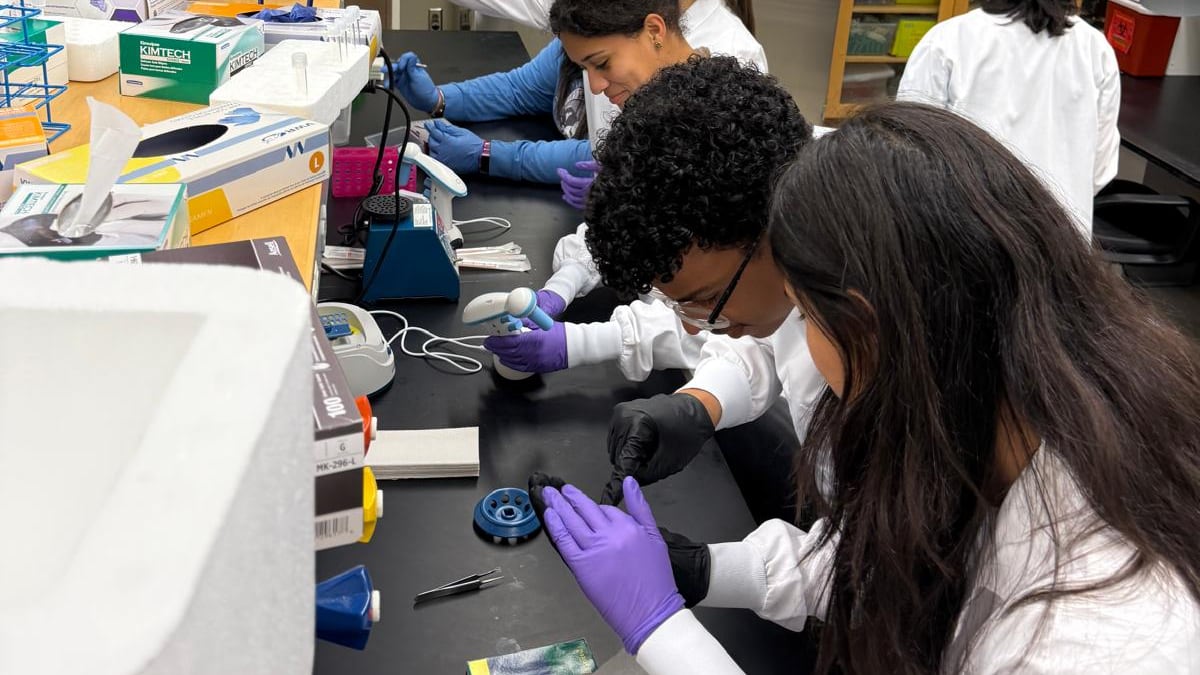 El programa residencial incluirá experiencias académicas, investigación y mentoría en destacadas universidades en Estados Unidos y Puerto Rico.