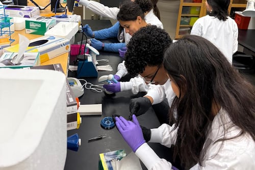 Abren convocatoria para programa de verano en ciencias que llevará a estudiantes de escuela superior a Boston