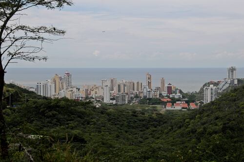 Joven profanó la tumba de su primo para desearle feliz año
