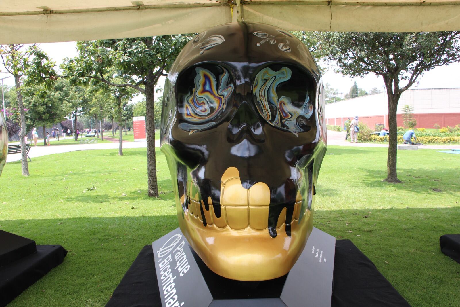 Las primeras tres obras de Mexicráneos 2024 fueron exhibidas en el Parque Bicentenario en una develación que contó con la presencia de los artistas Chui Huiini, Tania Caro Silva y Zaira Salvador para explicar un poco acerca de sus piezas. El evento también contó con la presencia de la Curadora de Mexicráneos Odette Paz y Juan Manuel Pineda Merino, director del Parque Bicentenario. A partir del 21 de septiembre, el recinto presentará tres cráneos nuevos cada sábado hasta completar las 12 piezas de la exposición.