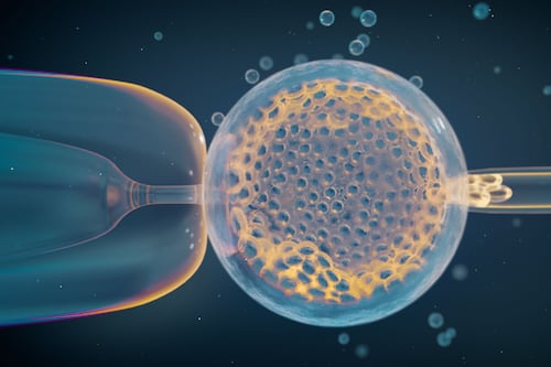 Exhaustivo estudio identifica variantes genéticas vinculadas a la pérdida del embarazo