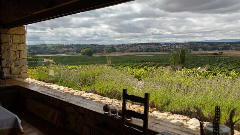 D.O. Rueda y D.O. Ribera del Duero