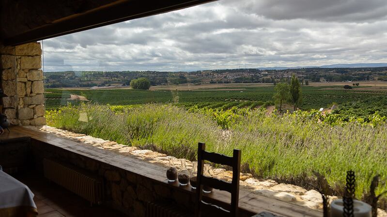 D.O. Rueda y D.O. Ribera del Duero