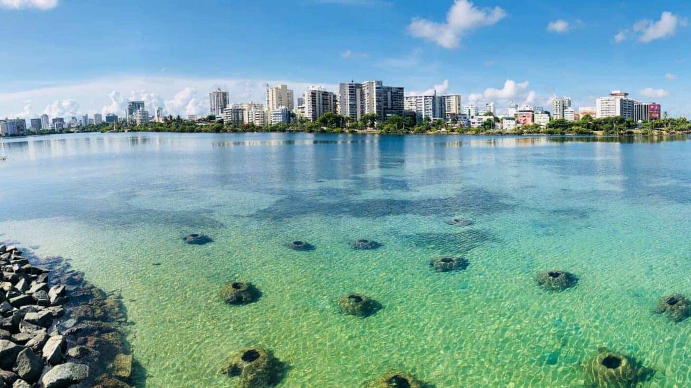 Estuario San Juan
