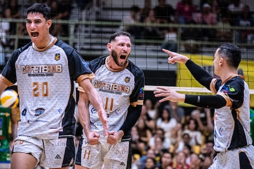 Yauco regresa a la final de la LVSM tras 29 años