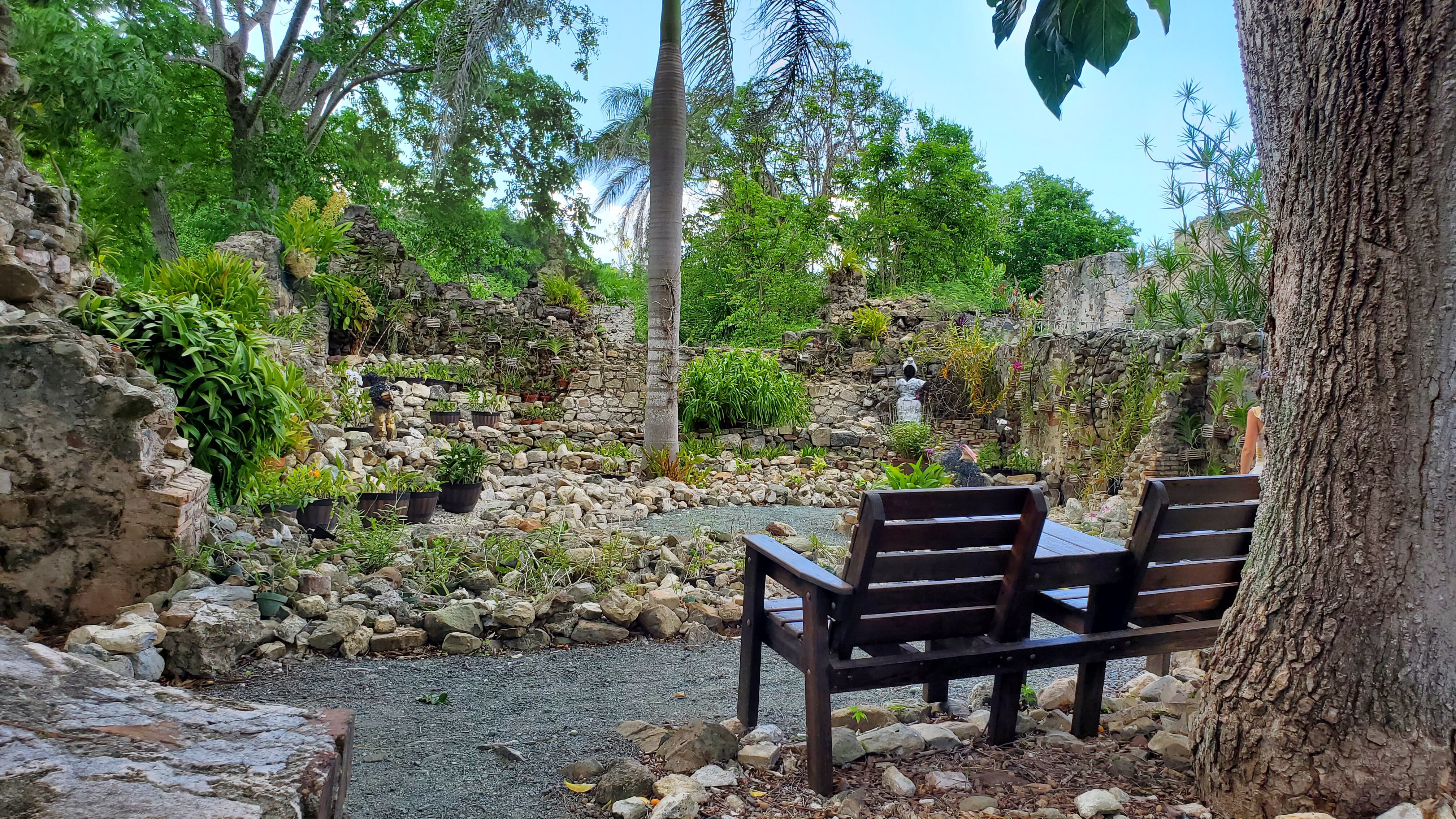 St. George Botanical Gardens, St. Croix. Foto: Magaly Figueroa