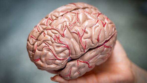 Tu cerebro se está devorando a sí mismo por la falta de sueño