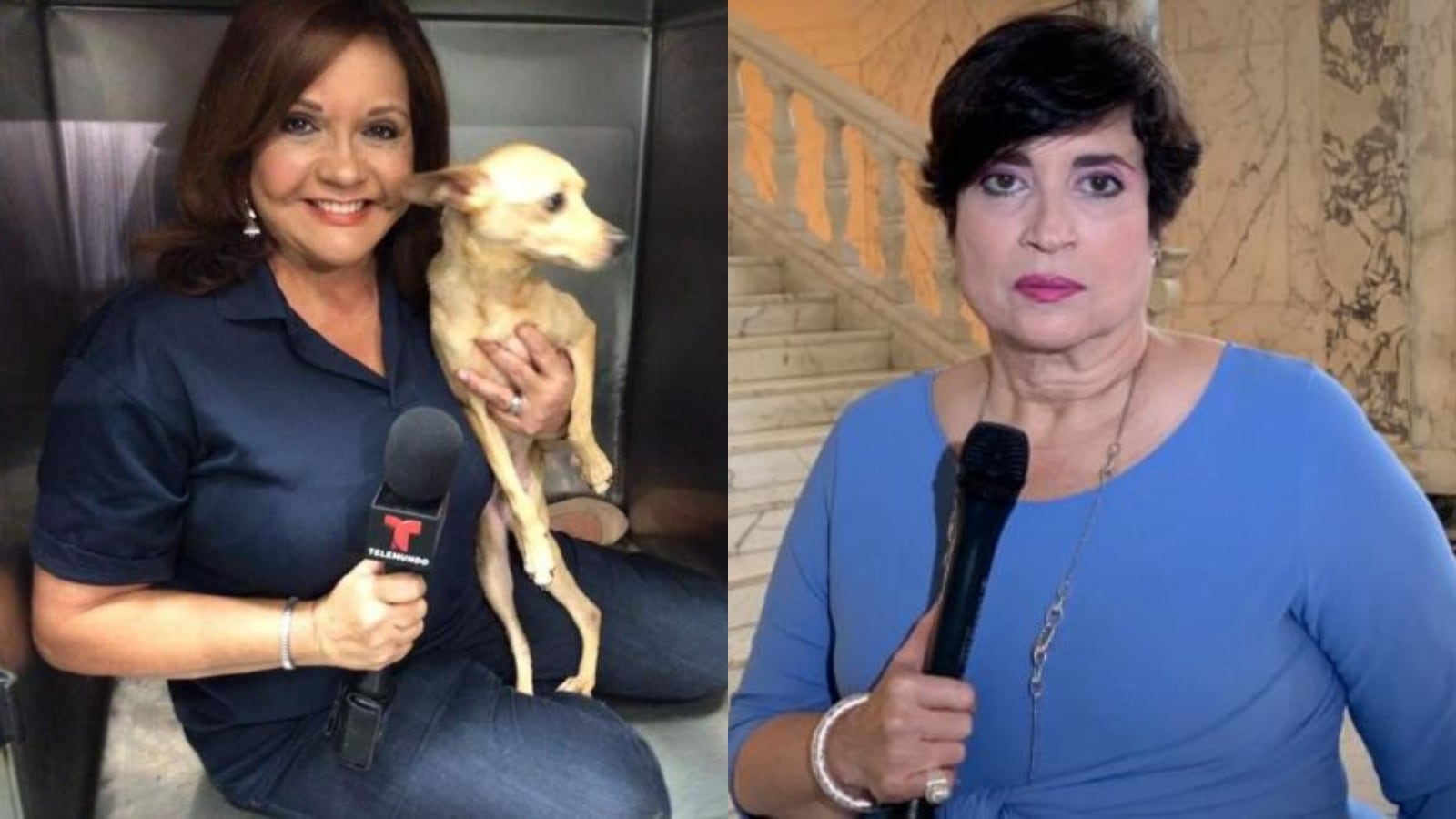 Charito Fraticelli y Sylvia Gómez