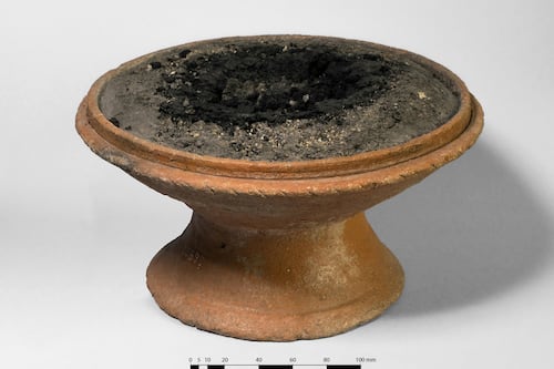 Habitantes de Pompeya utilizaban resinas de África y Asia en sus rituales domésticos