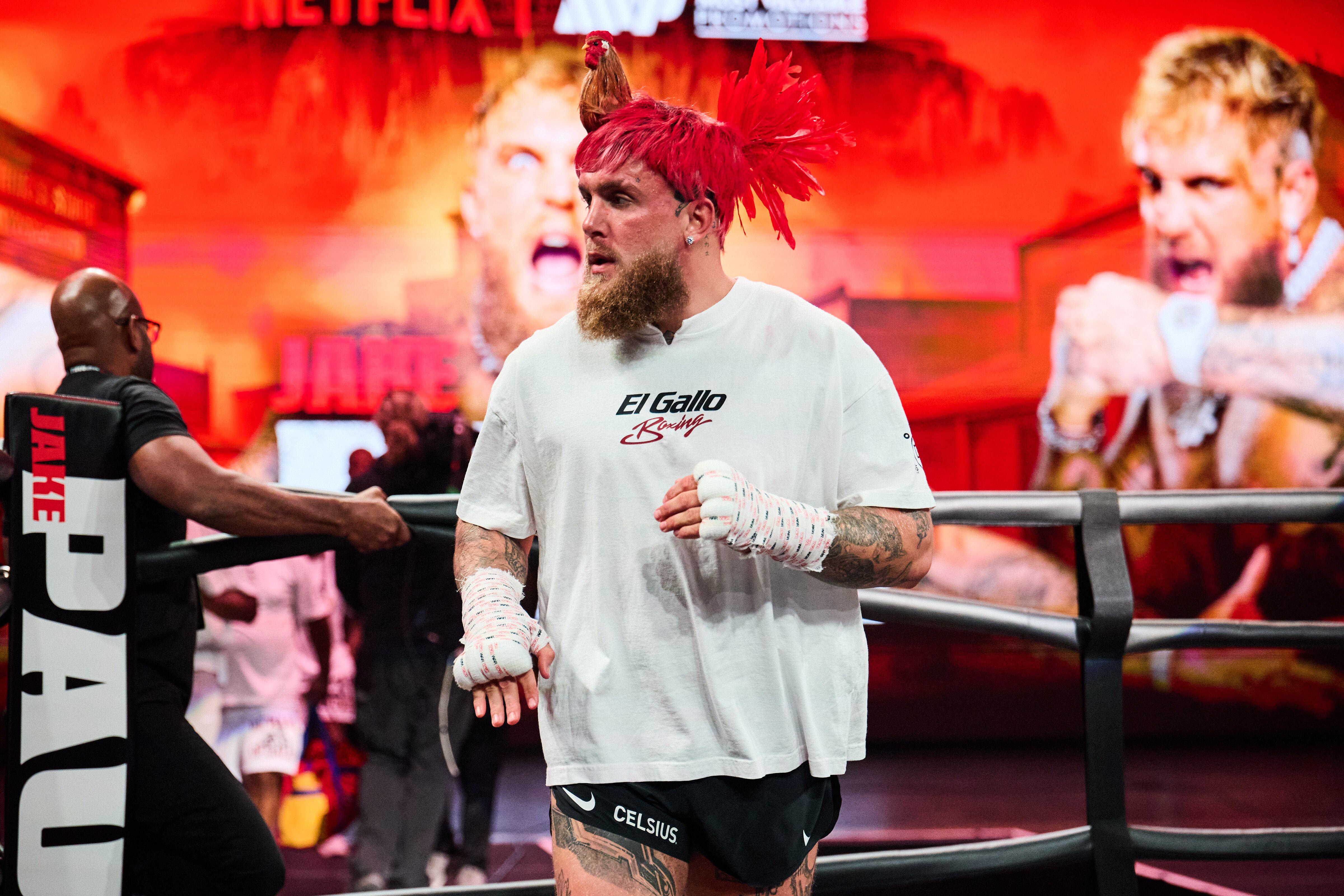 Jake Paul Open Workout