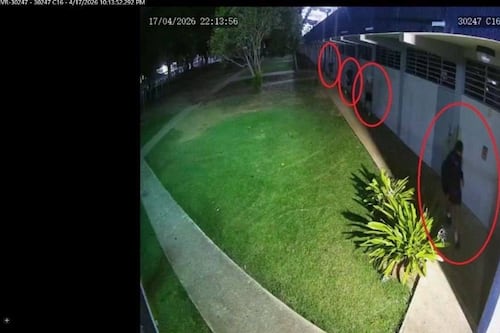 Diligencian cuatro arrestos por escalamiento en plantel escolar en Fajardo