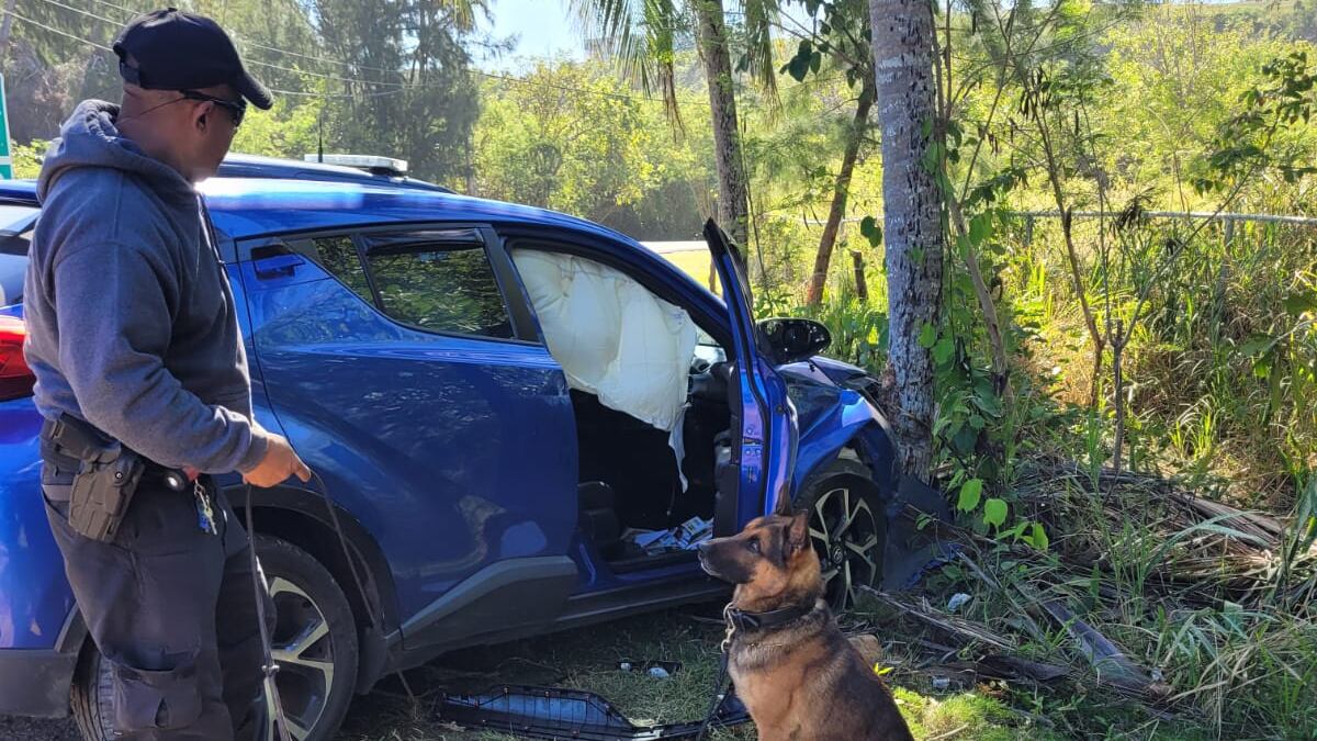 Auto intervenido por los agentes.