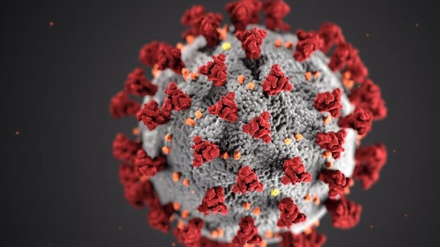 El Covid en el mundo