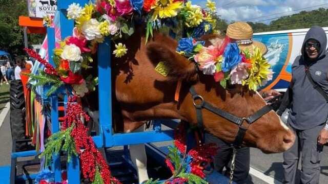 Festival de la Novilla