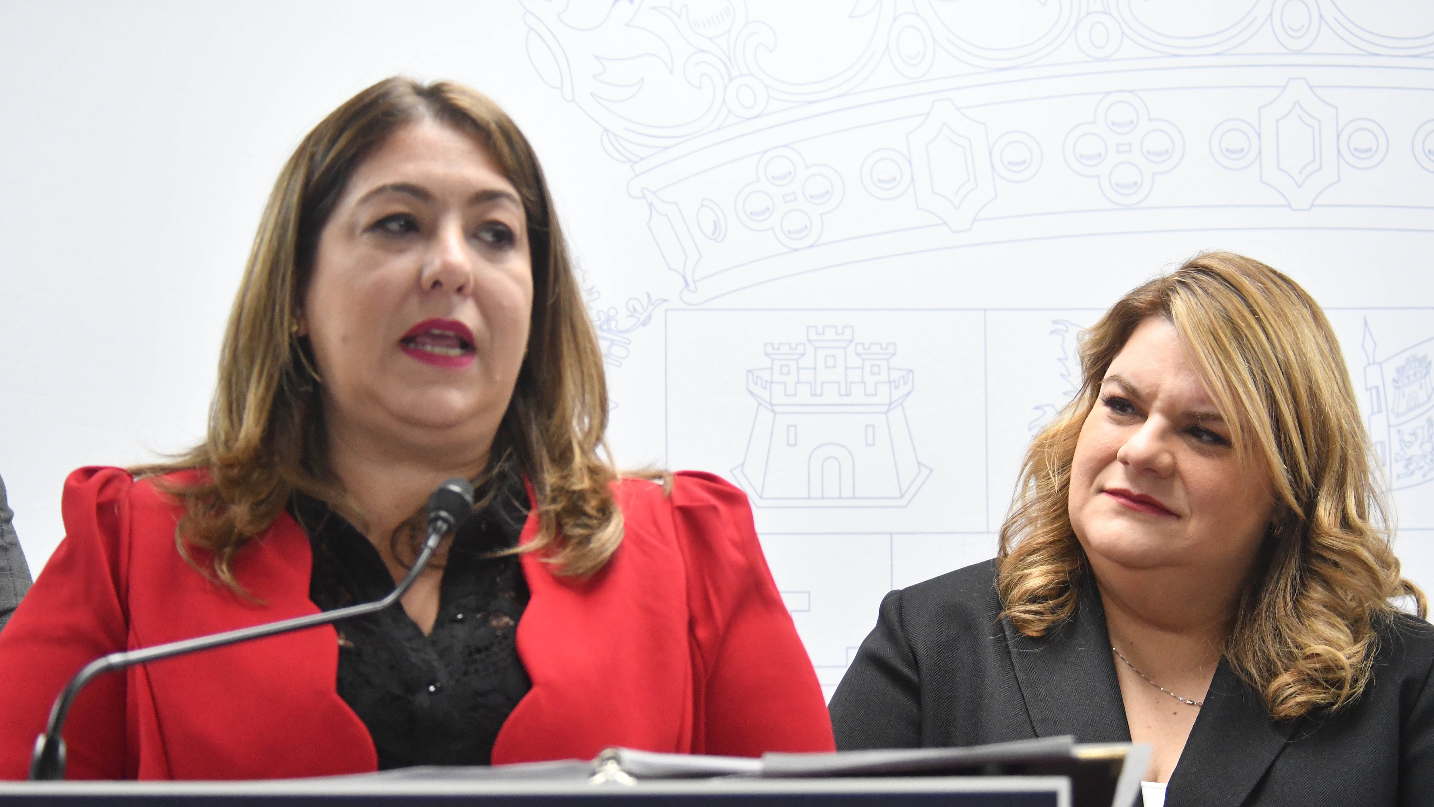 La gobernadora Jennifer Gonzalez, hace anuncio sobre el nuevo portal en internet para la adopción.