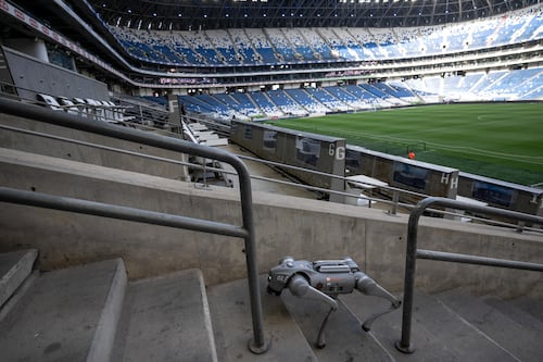 Perros robots reforzarán la seguridad durante partidos del Mundial en México