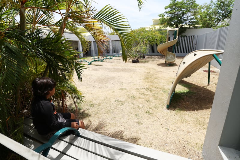 Zedrik busca la sombra de una palma areca en la Escuela Ecológica de Culebra.