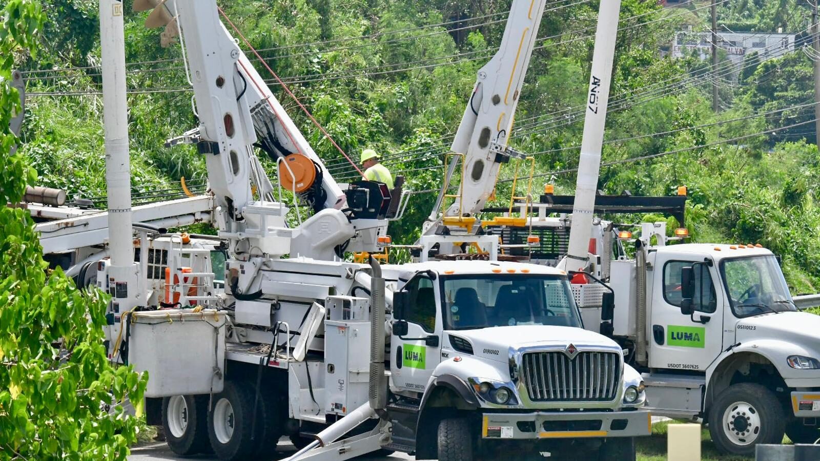 Trabajadores de la empresa LUMA Energy, realizan labores en Fajardo tras paso de la tormenta Ernesto