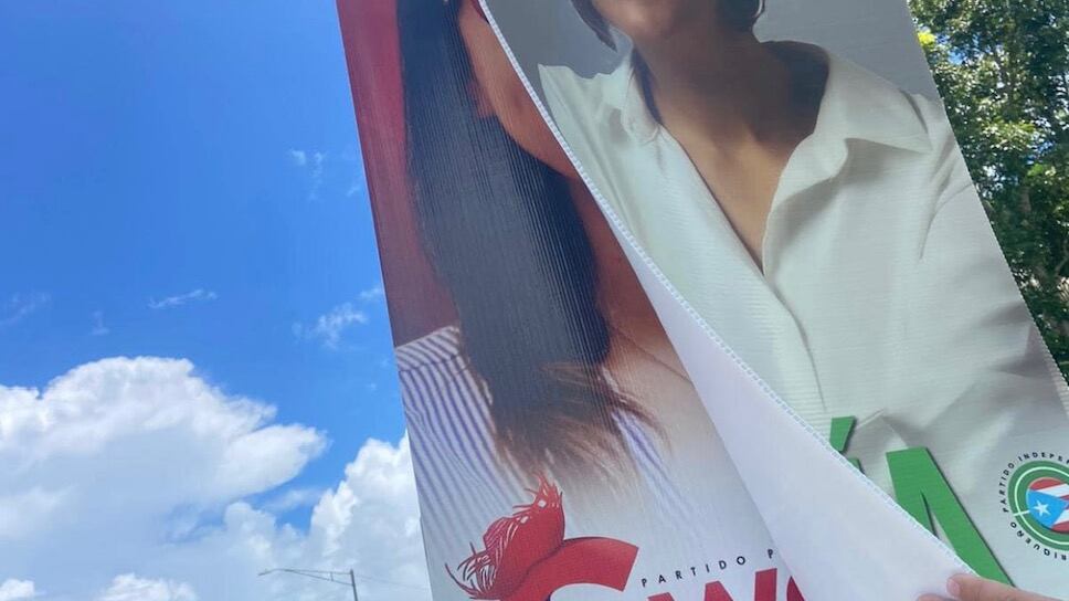 Swanny Enit Vargas denuncia vandalismo de propaganda electoral en Morovis por la alianza independentista.