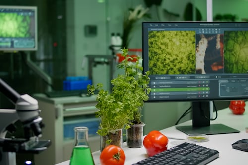 ¿Tus plantas te están gritando? El impresionante estudio que revela cómo suenan cuando tienen sed