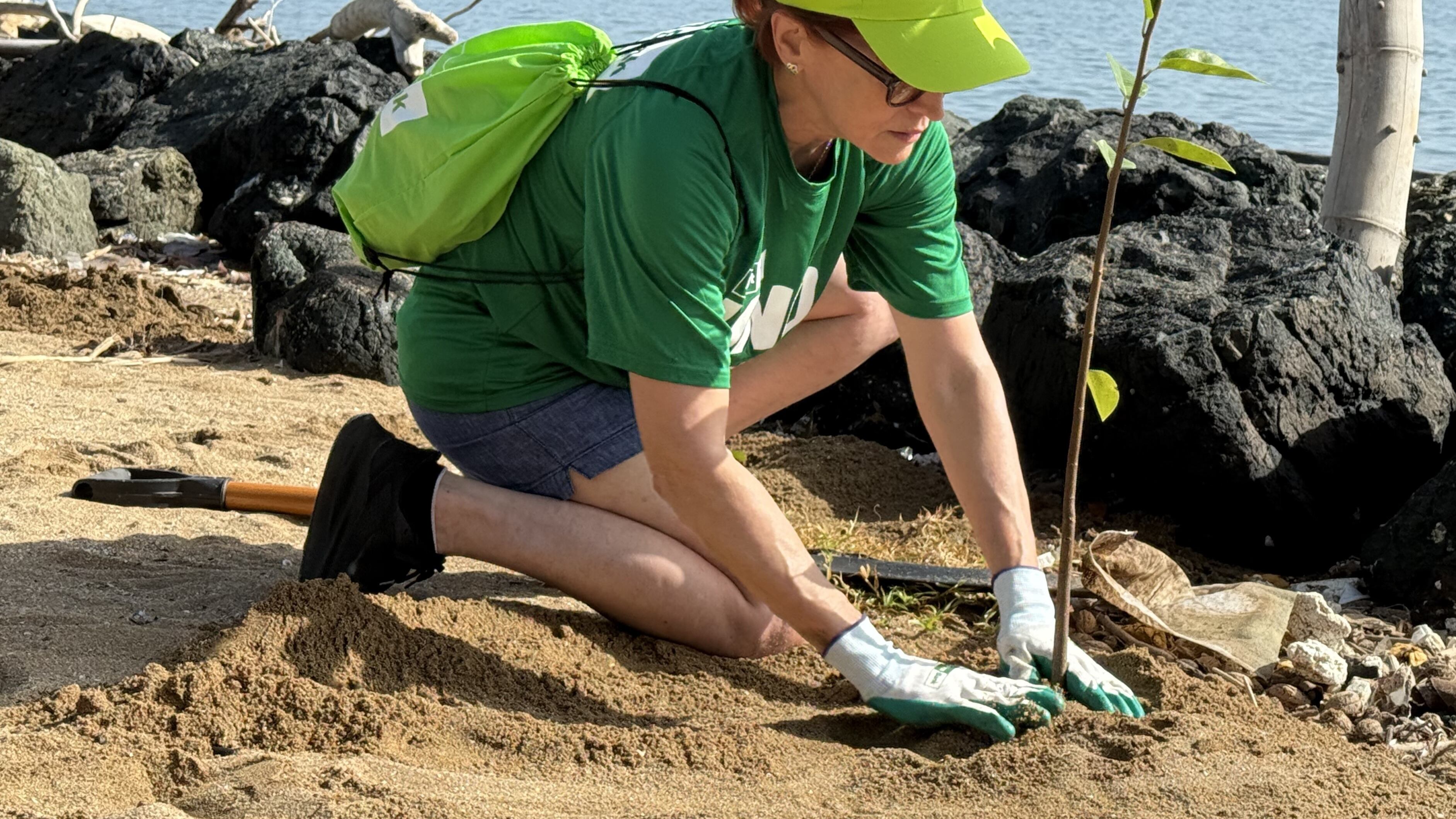 El proyecto ambiental entra en su fase final con nuevas jornadas de siembra en la zona sur de la isla.