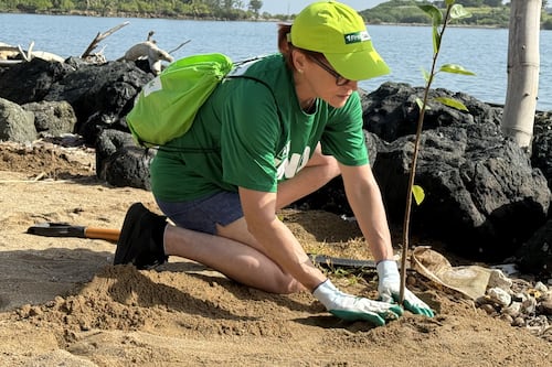 FirstBank cerca de alcanzar meta de 25,000 árboles con programa Rescate Costero