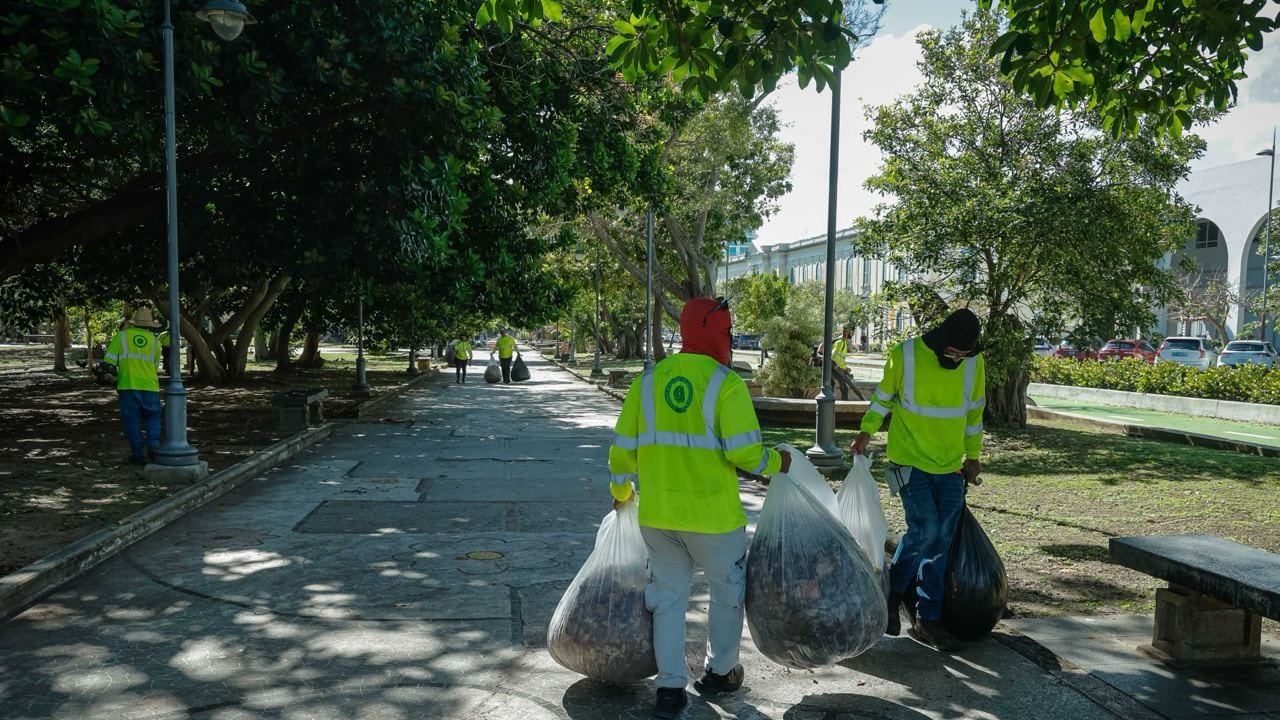 Parque Luis Muñoz Rivera