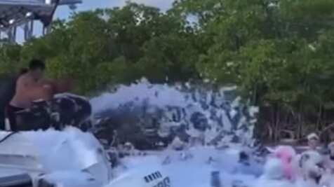 Instagram: Deborah Martorell