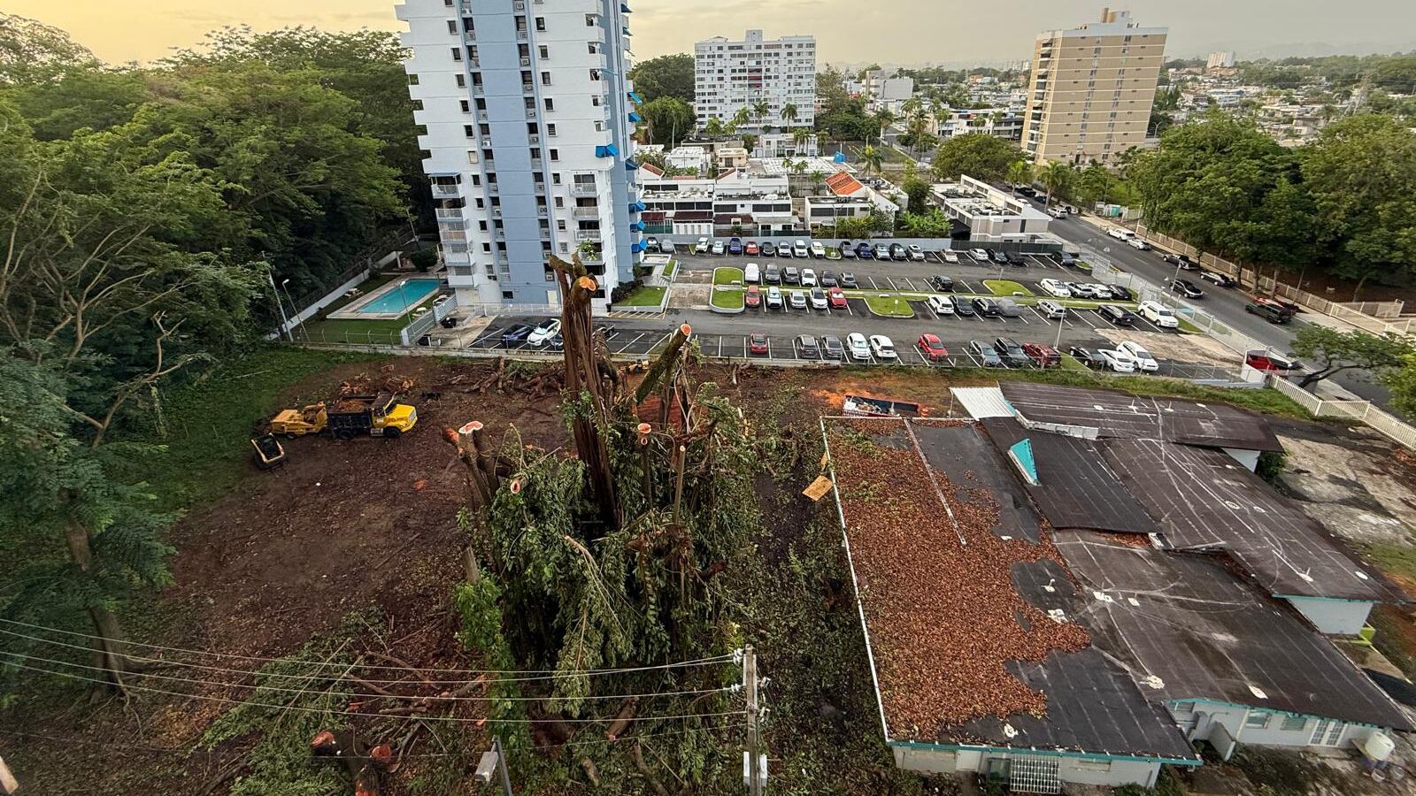 Vista aérea del solar en la avenida San Patricio en Guaynabo donde maquinaria pesada completó la tala de un árbol de goma centenario, rodeado por edificios residenciales.