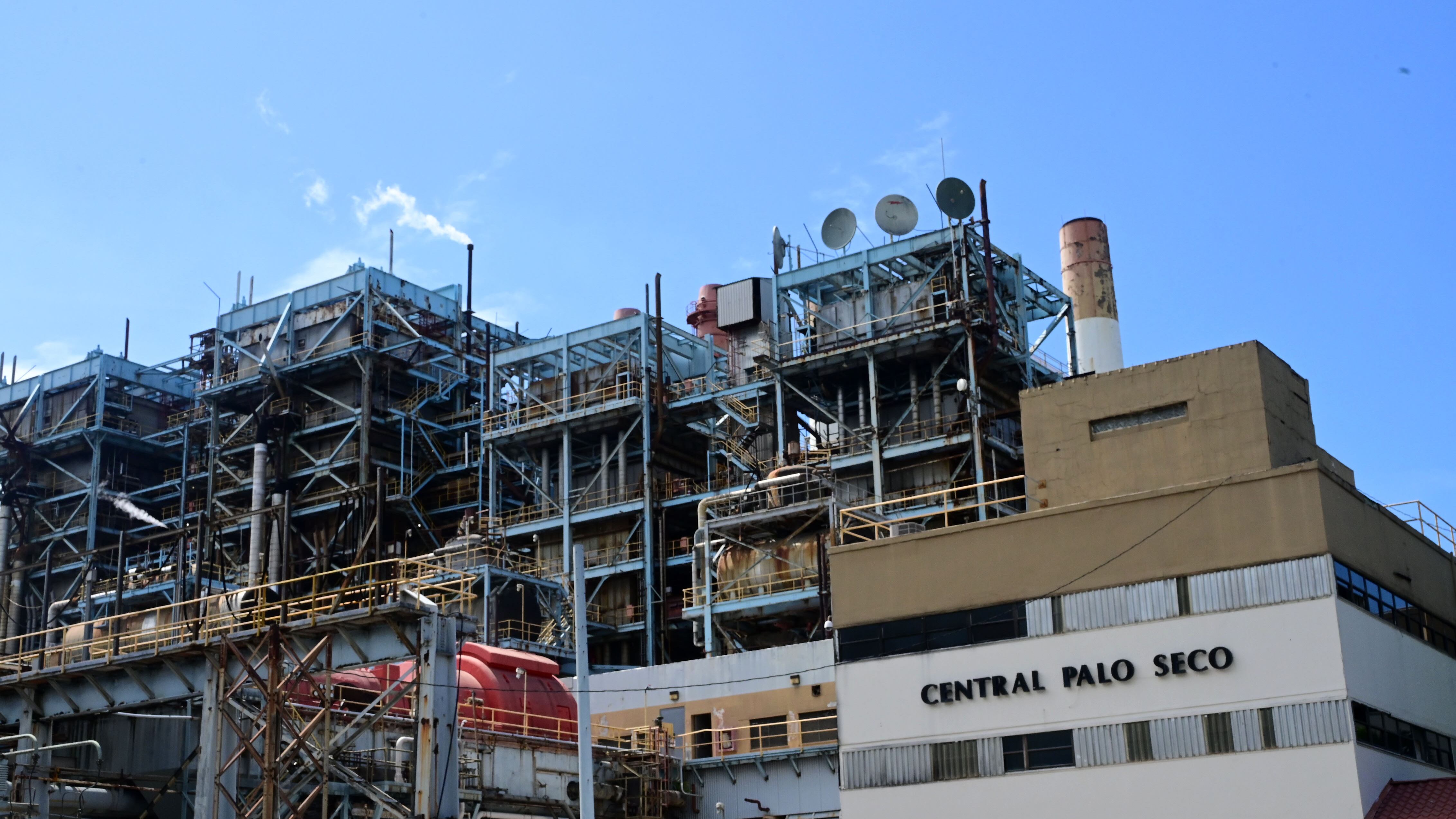 Central Palo Seco. Genera