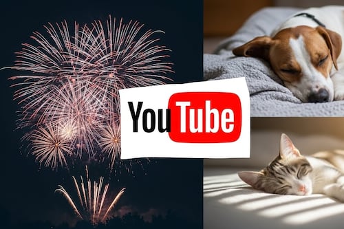 Pirotecnia sin estrés: Los mejores canales de YouTube para calmar a tu mascota estas fiestas
