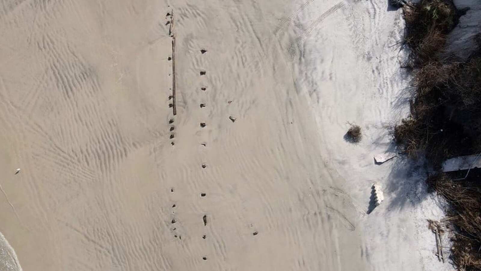 Extraño objeto aparece en las playas de Florida y causa revuelo en las redes