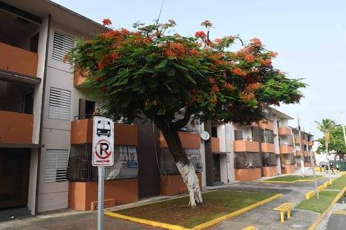 Asesinan a un hombre de 44 años en el Residencial Luis Lloréns Torres de San Juan