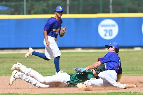 Tigres y Taínos toman delantera en la semifinal del béisbol LAI