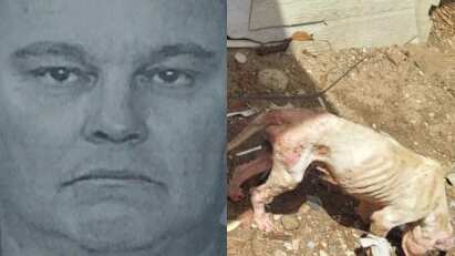 Acusan a hombre por dejar bajo el sol, sin agua y sin alimento a un perro.