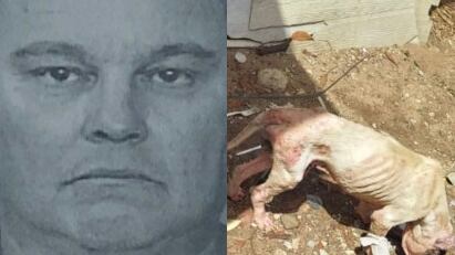 Acusan a hombre por dejar bajo el sol, sin agua y sin alimento a un perro.