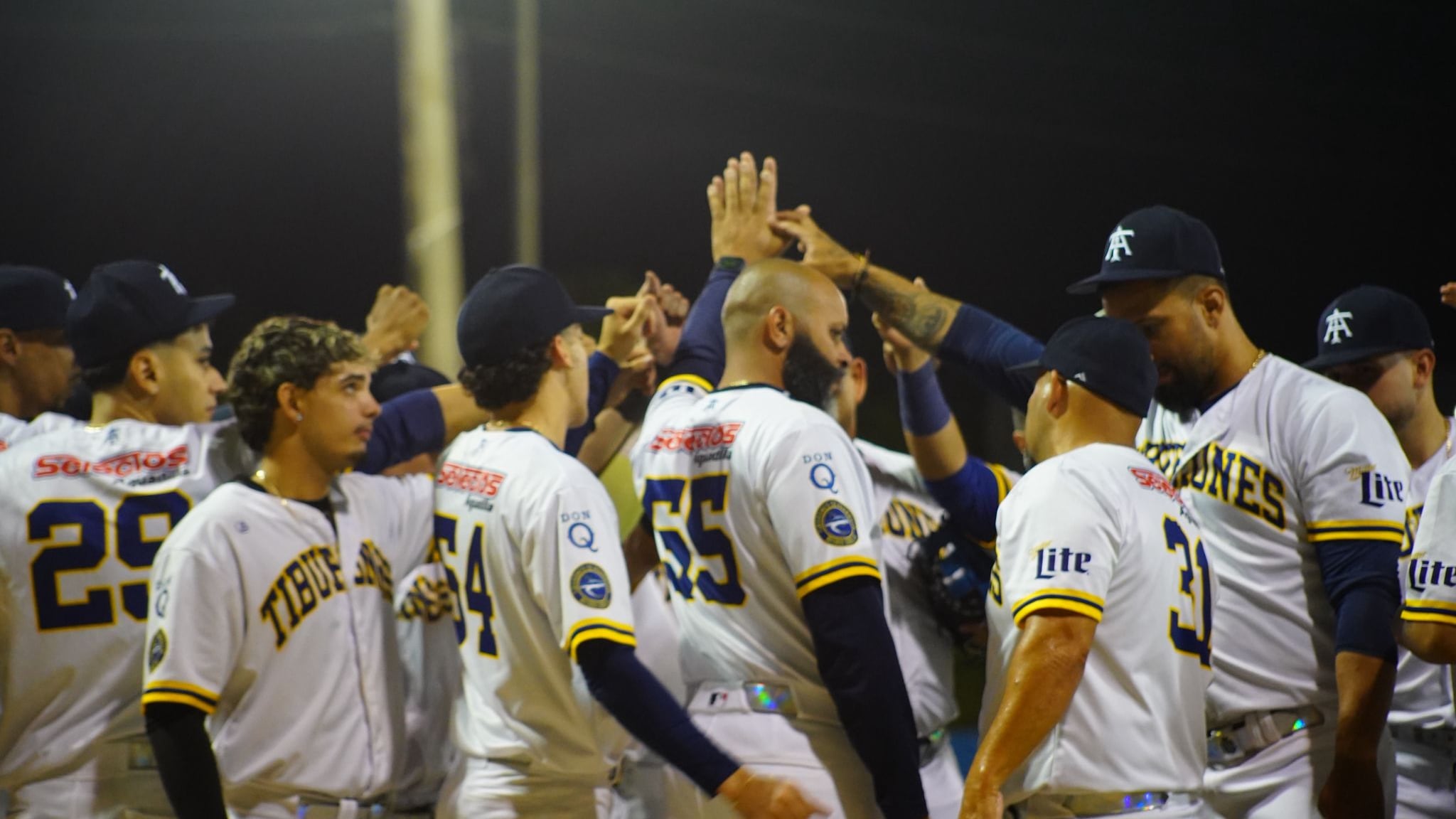 Federación de Béisbol de Puerto Rico
