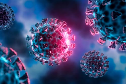 OMS confirma 19 casos y cuatro muertes por MERS-CoV en el mundo durante 2025