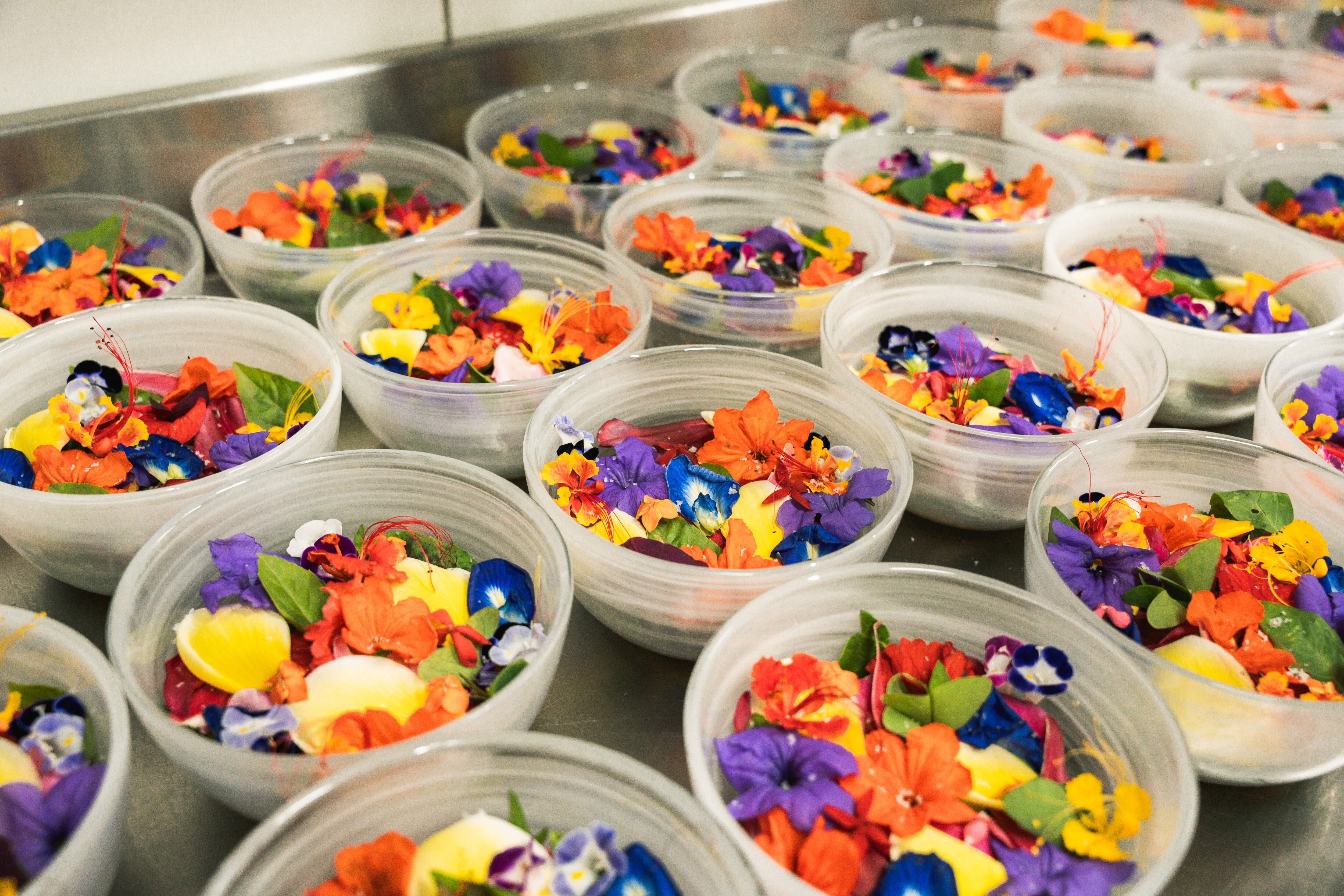 Celele, Proyecto Caribe Lab en Cartagena, Colombia.